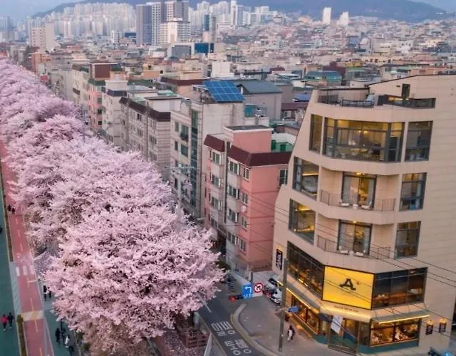 Apartment 6인#홍대#dmc역#커플,가족,단체여행#프라이빗 감성숙소#maison De Ellie Seoul